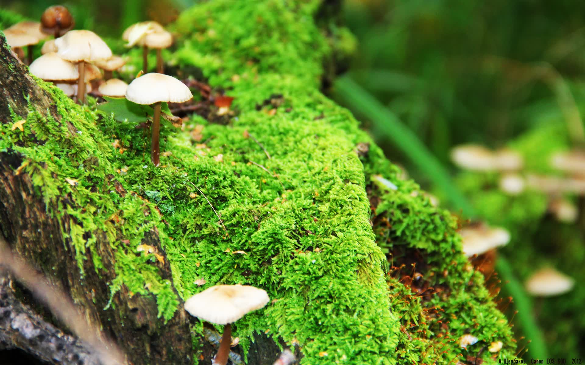 世界体能恢复科研样本库增加运动员长期跟踪数据，体能研究